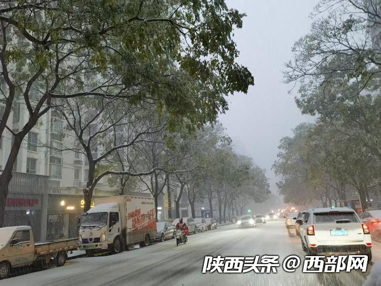 11月11日西安雪景 来源：网友 张国宁
