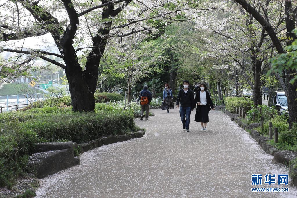 4月1日，人们在日本东京千鸟渊绿道赏樱游玩。新华社记者 杜潇逸摄