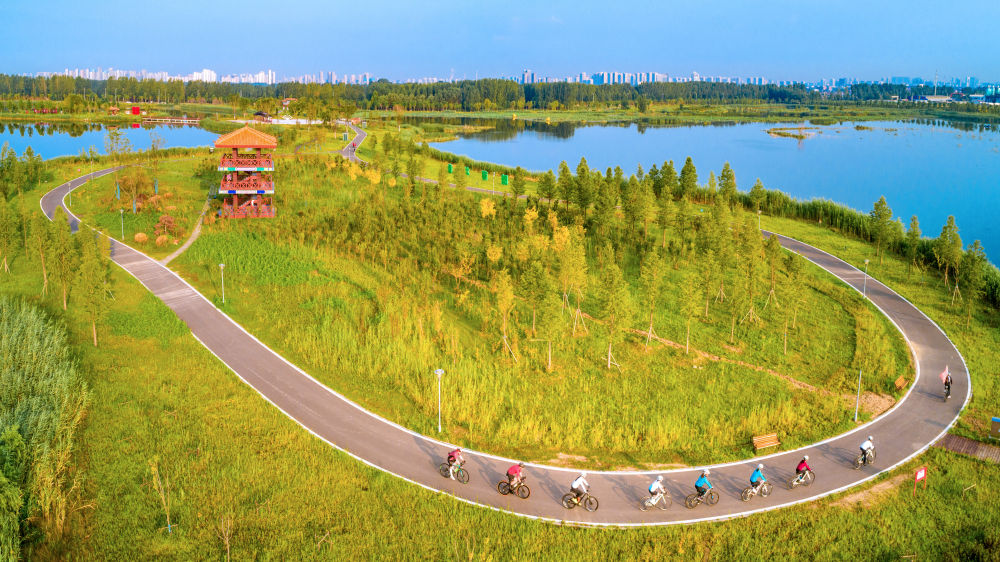 ↑市民在山东省济宁市十里湖湿地公园骑行。