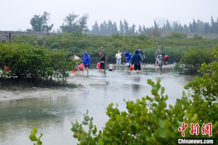 图为游客在北海滨海国家湿地公园赶海。　翟李强 摄