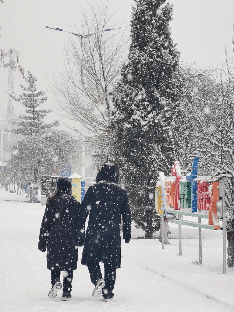 雪地情侣背影图片大全图片