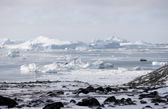 这是2025年3月22日在丹麦自治领地格陵兰岛迪斯科湾拍摄的冰山。（新华社）