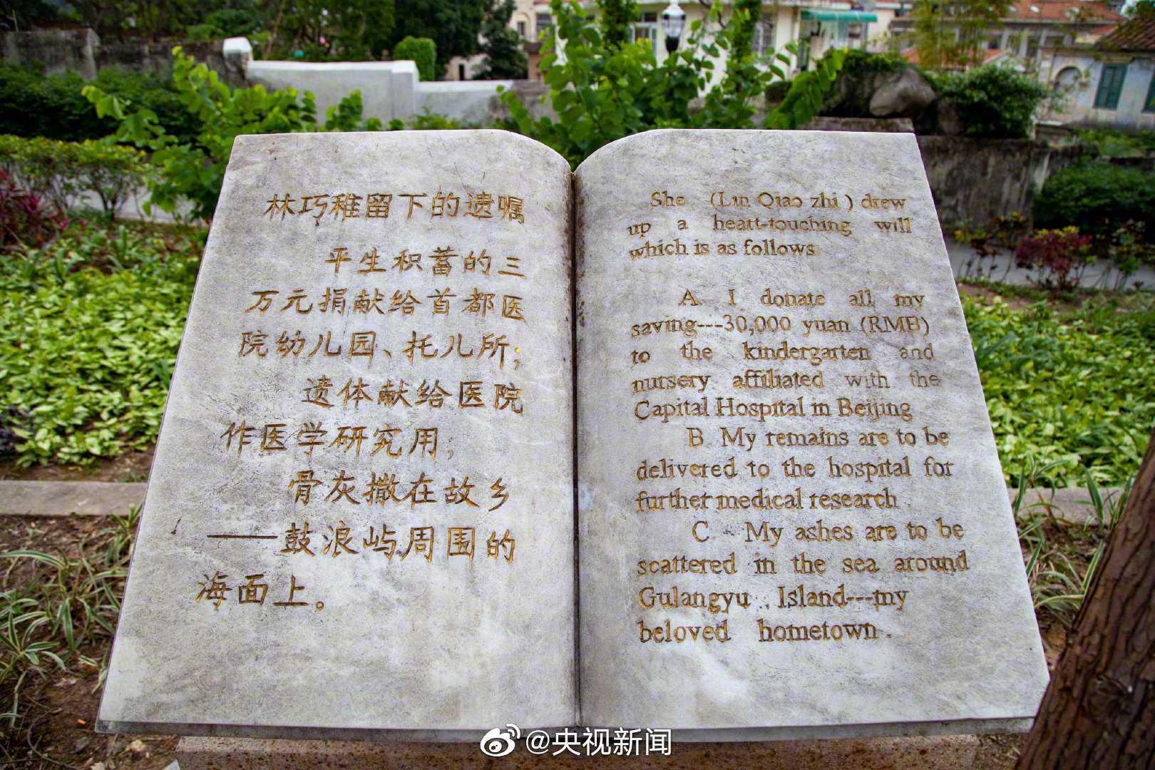 缅怀!林巧稚逝世40周年