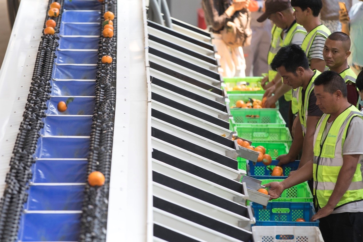 新平上行物流中心日产能力达到350吨