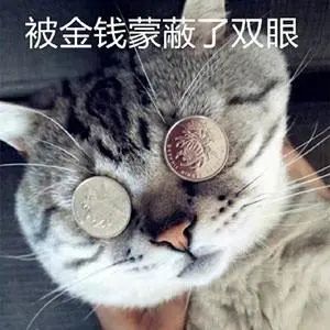 要钱要钱要钱要钱