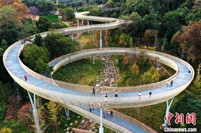 11月19日，航拍位于江西省南昌市湾里管理局的磨盘山森林公园，不少游客行走在森林步道上。 刘占昆 摄