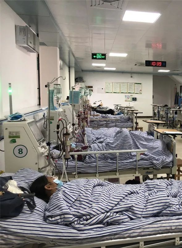 5人食用野生菌中毒送医!中毒者事后回忆:吃起来又脆又甜