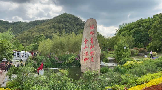 【看税收走基层】浙江安吉:税惠赋能绿色发展,助力守护绿水青山