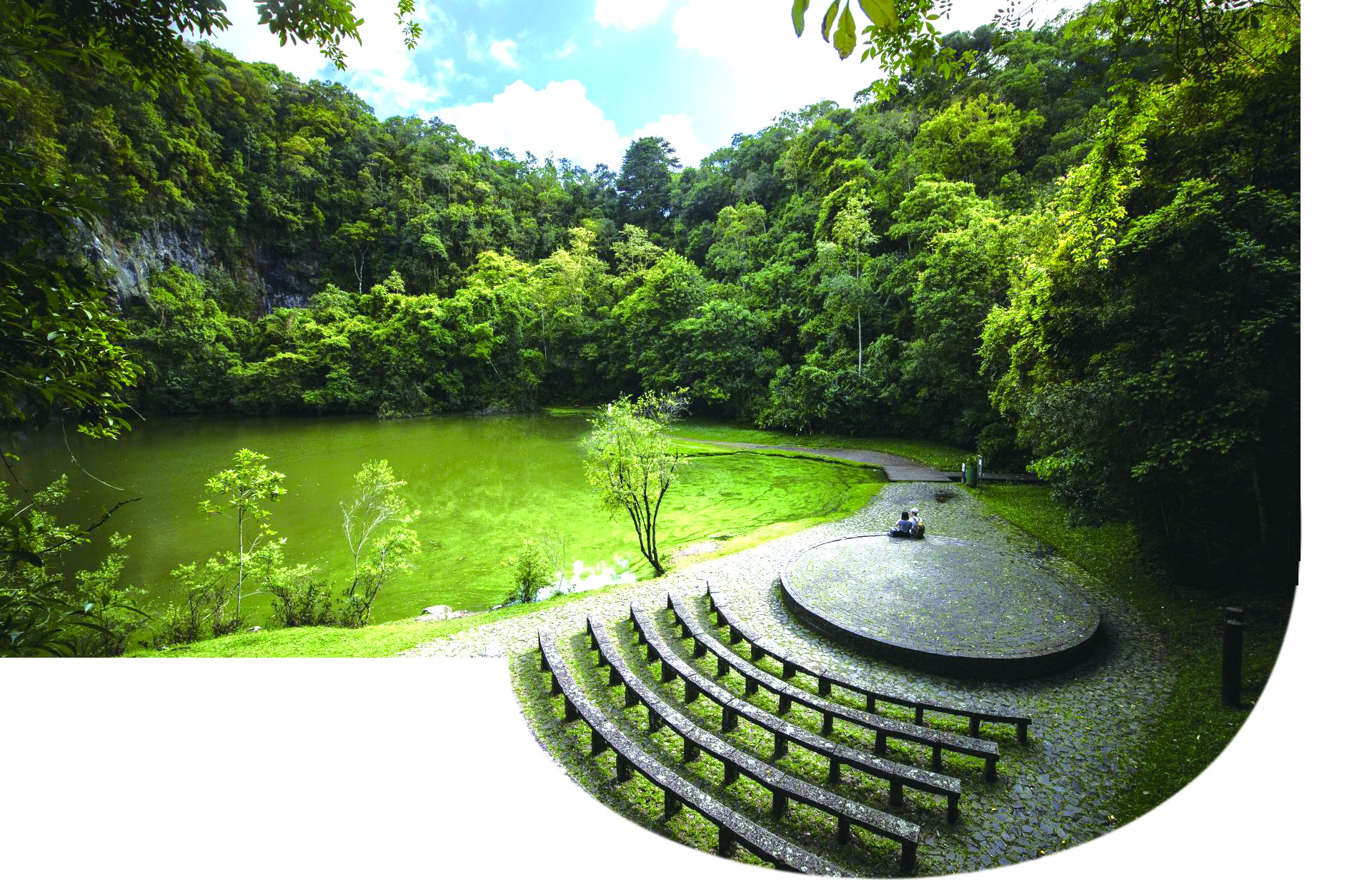 风景如画的环境大学