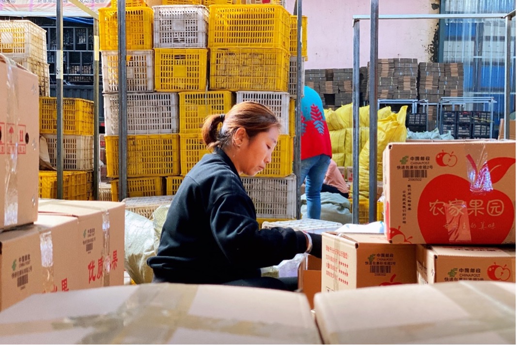 拼多多苹果双11在北纬35度寻找最想咬一口的好苹果