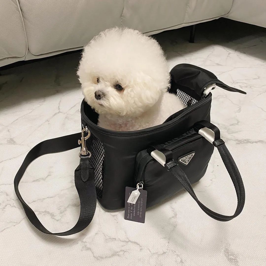 41岁“嗲精”撩遍娱乐圈男神，迷倒音乐教父！扭头嫁入亿万豪门！网友：她凭啥这么浪？！_搜狐网, image size:1080x1079