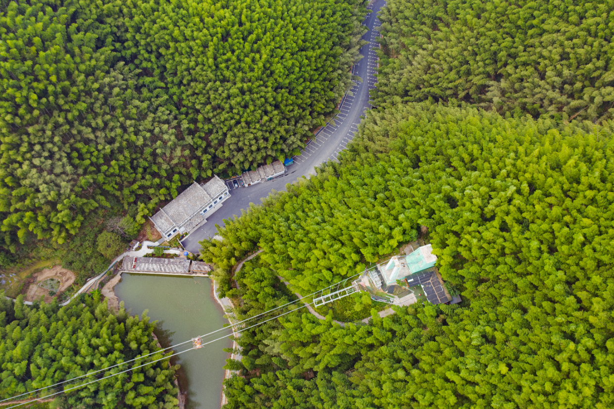 航拍秋日安徽黄山皖南竹海 曾为《卧虎藏龙》拍摄地