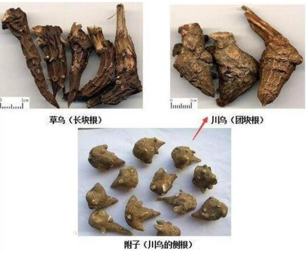 当心！2毫克致命，已有人中毒