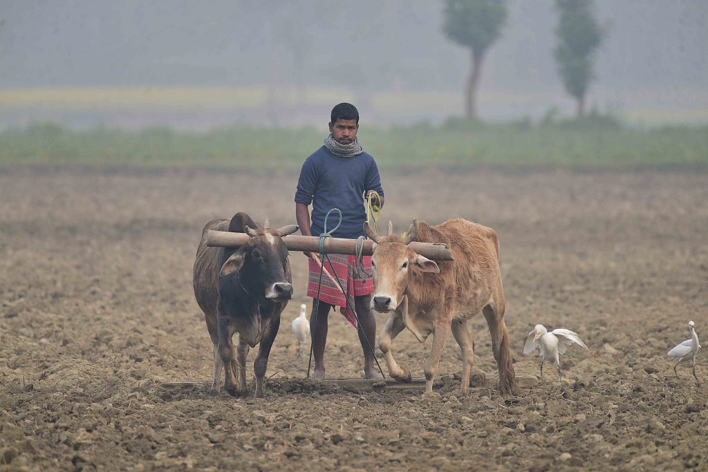 重返农村,印度劳动力面临"结构性倒退"