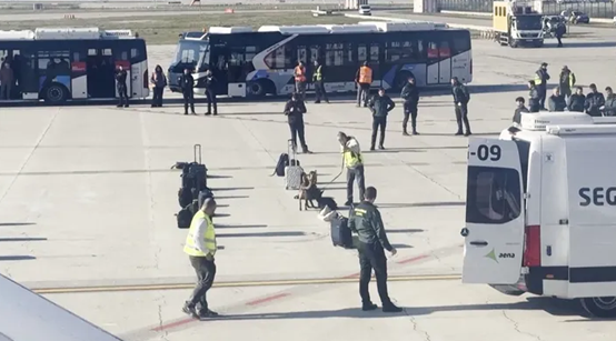 警犬正对乘客行李进行检查。图源：英媒
