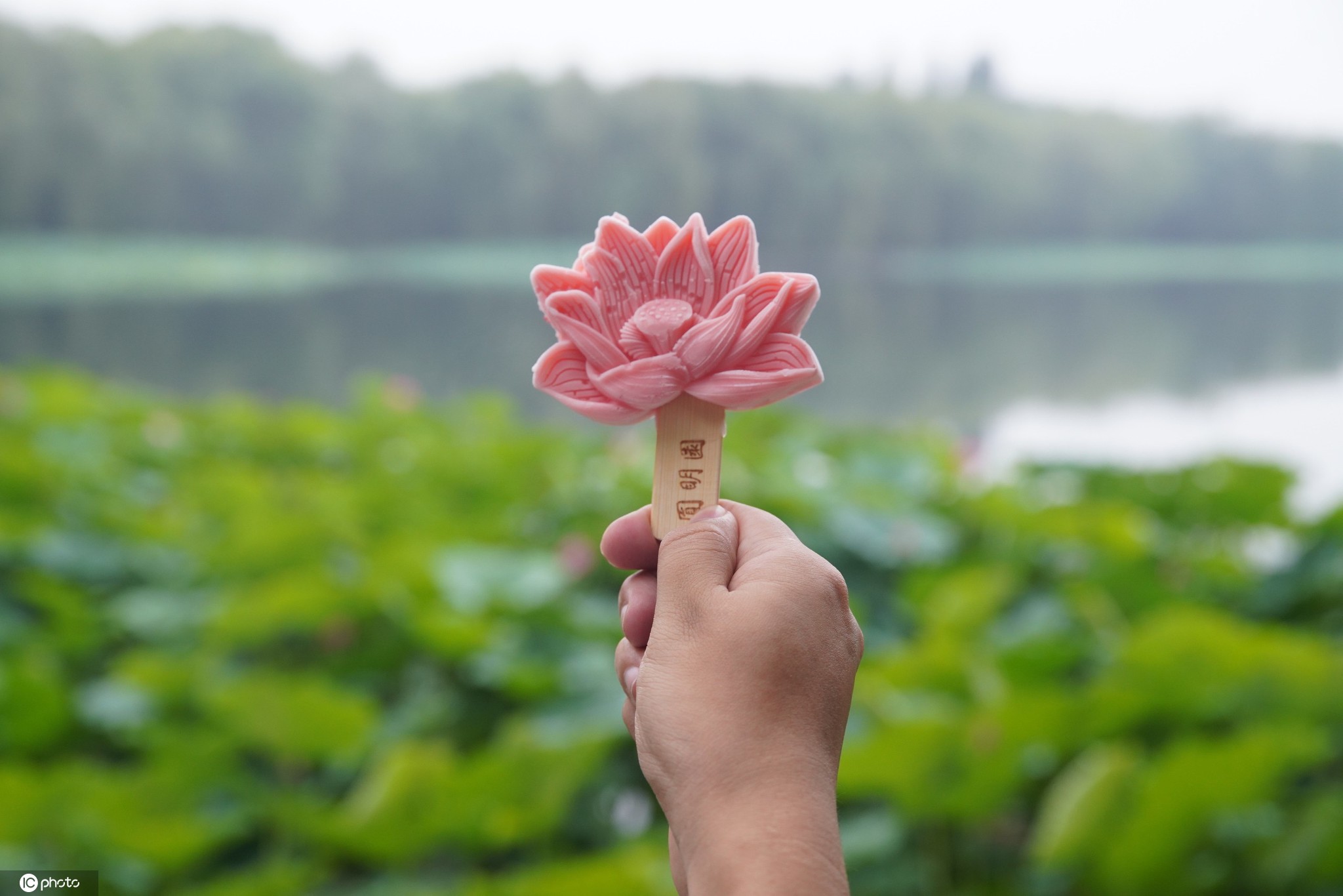 北京圆明园推出荷花冰淇淋简直神仙颜值
