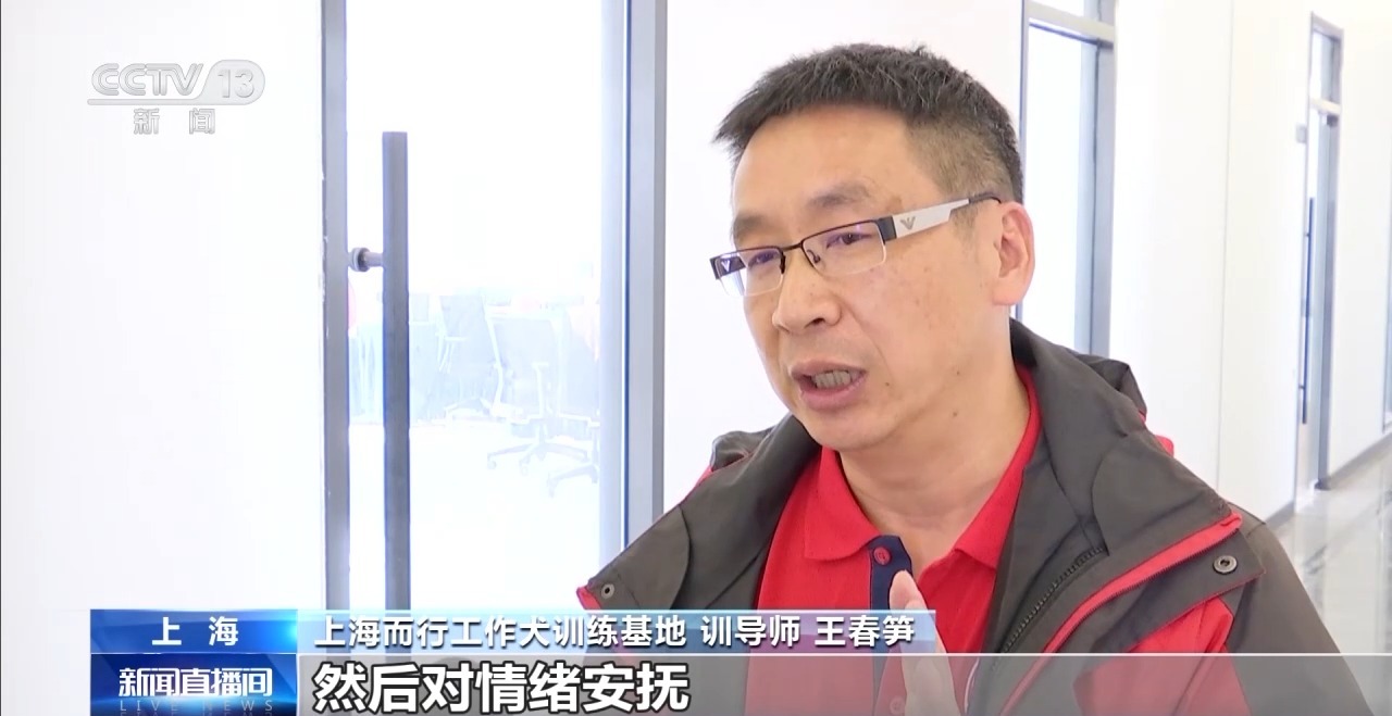 特殊老师上线我国首批孤独症辅助犬将陪伴星星的孩子