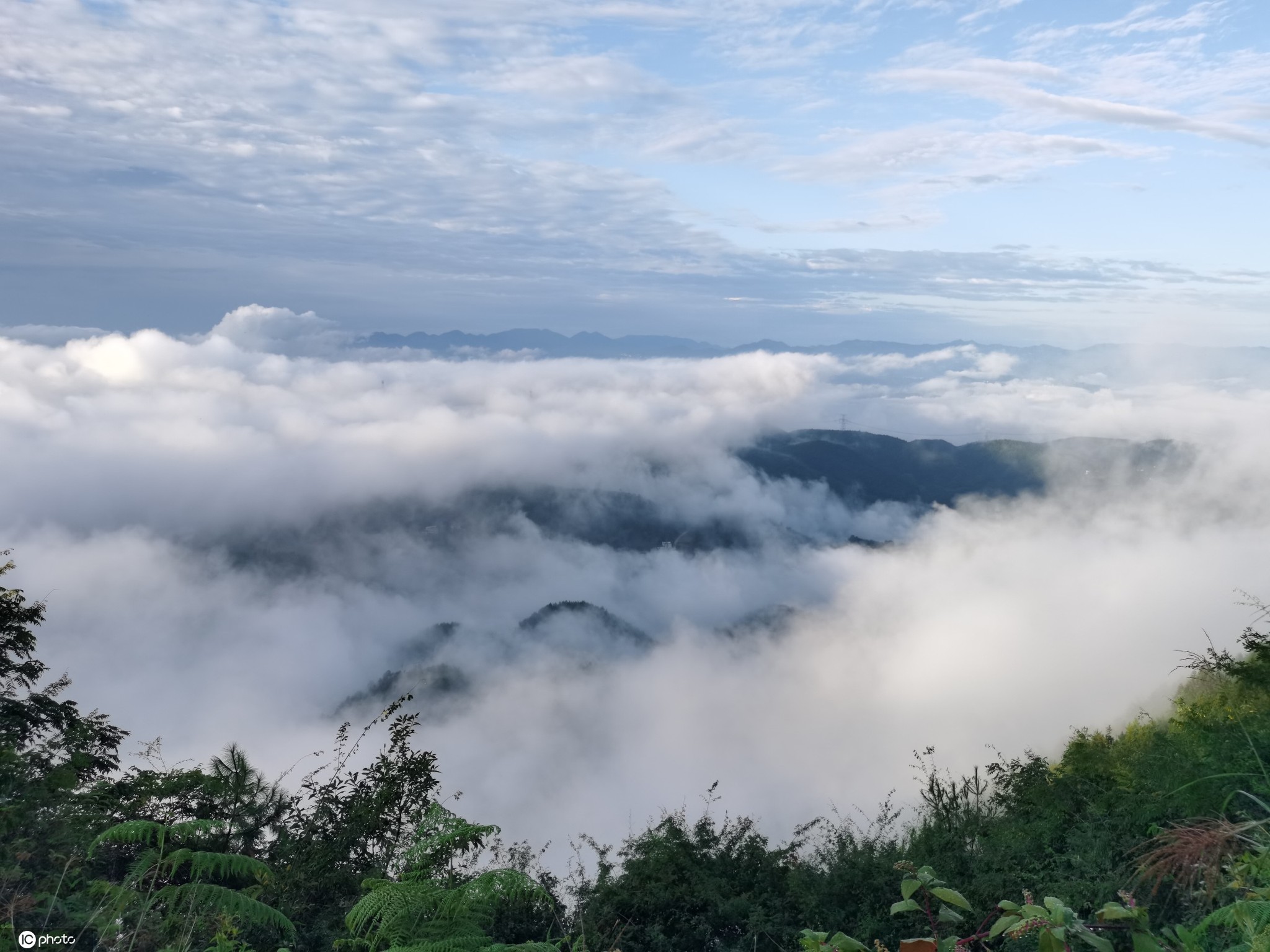 大雾弥漫的森林美景 - tt98图片网