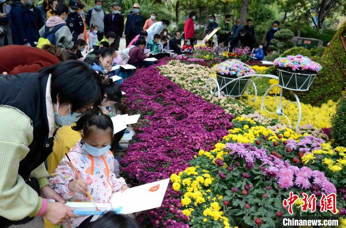 10月25日，第41届趵突泉金秋菊展在山东济南天下第一泉风景区开幕。本届菊展以“菊韵趵突、泉甲天下”为主题，400多个菊花品种，8万余盆菊花，依托泉水自然景观，展现生态济南之美。 孙婷婷 摄