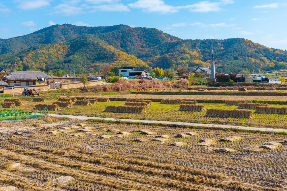 韩国村庄 资料图