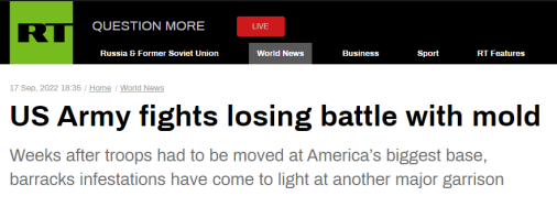 “今日俄罗斯”（RT）报道截图