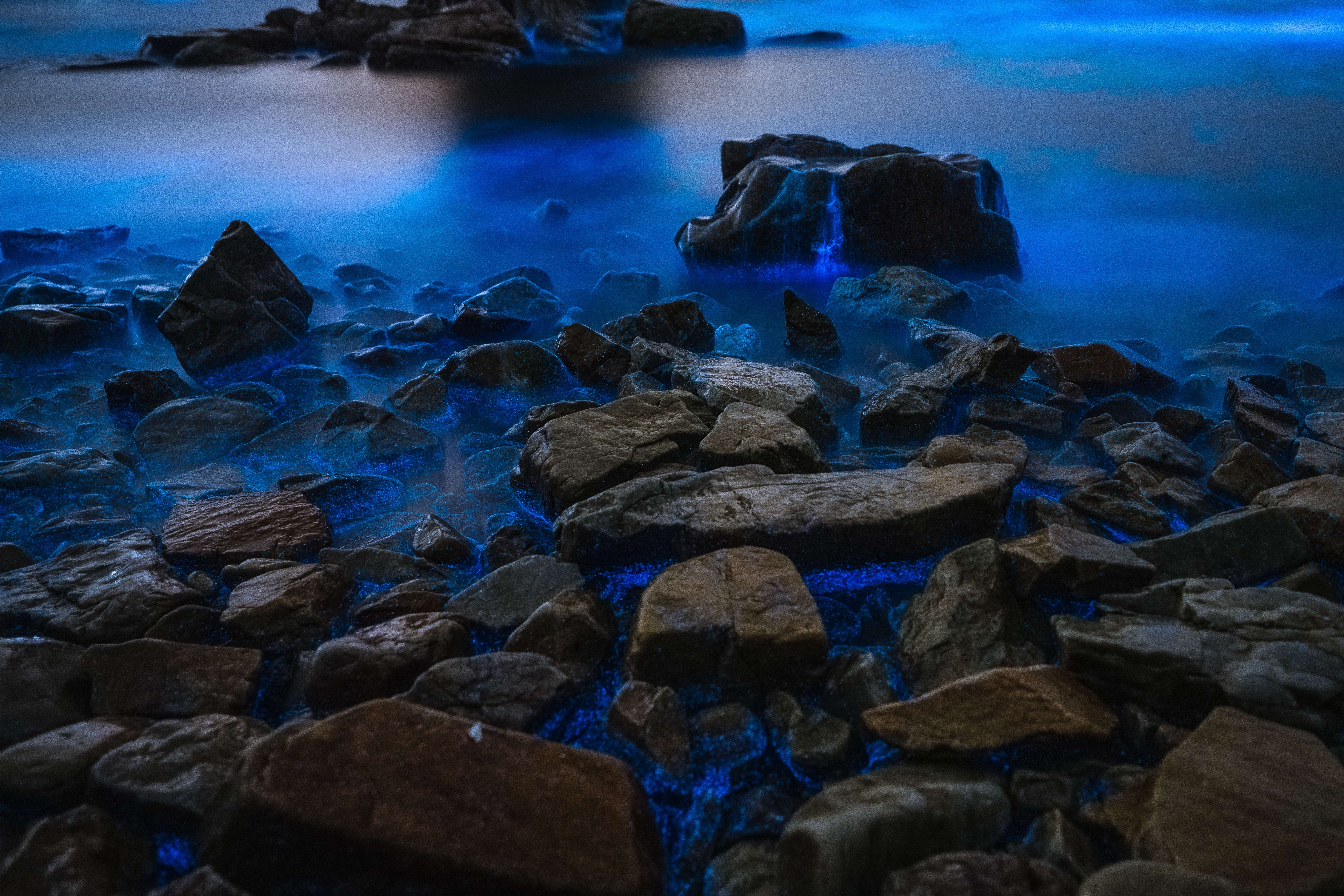 辽宁大连排石迎大面积荧光海景观