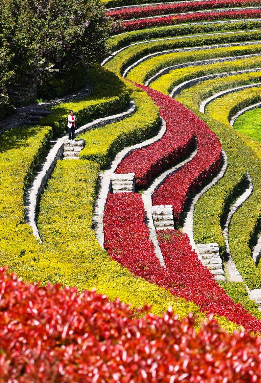 2022年4月7日,贵州省毕节市大方县奢香古镇城市梯田景观.(王纯亮 摄)