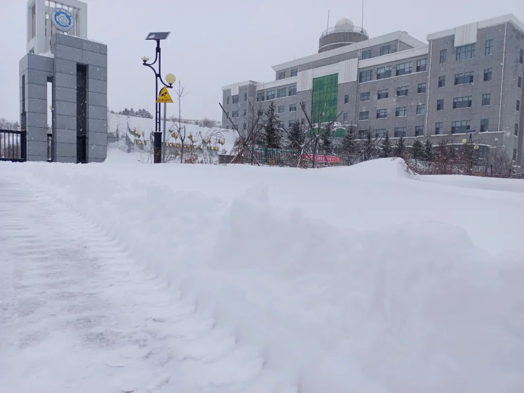 黑龙江鸡西市降大雪 图/张世俊