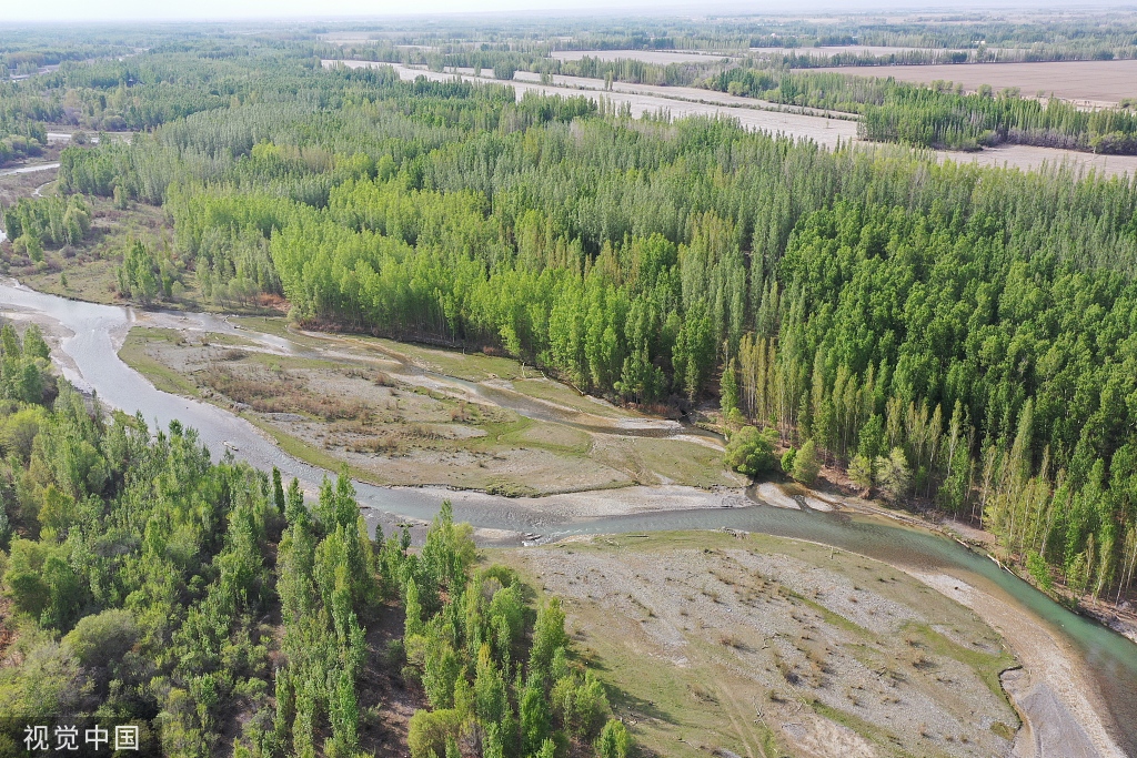 新疆博州博尔塔拉河谷绿意浓