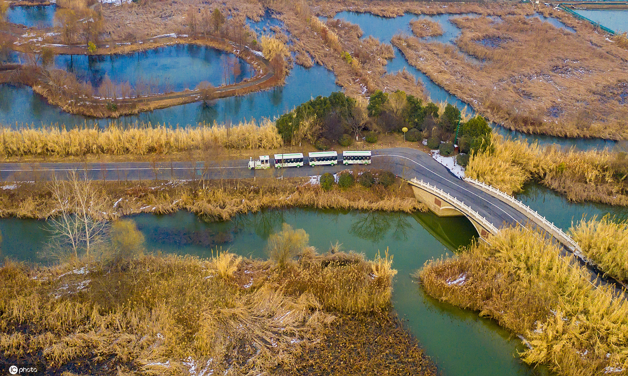 泗洪洪泽湖湿地景区：杉在水中立 人在画中游_江苏国际在线