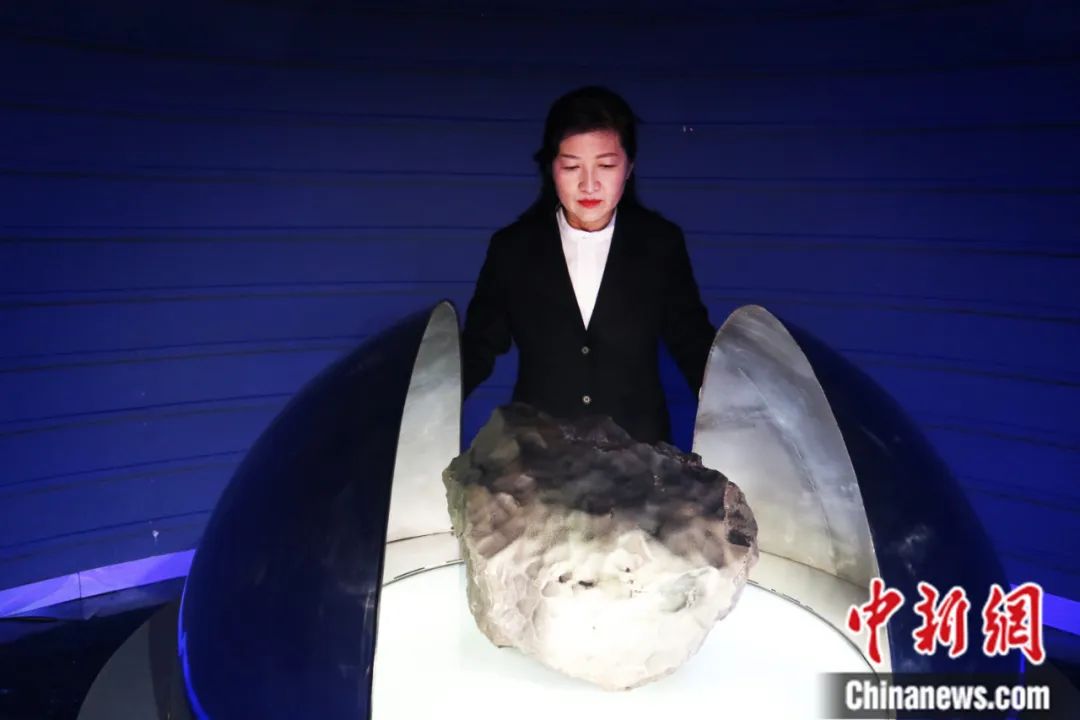 付莹讲述如何打开“天外来客”的基因密码。苍雁 摄