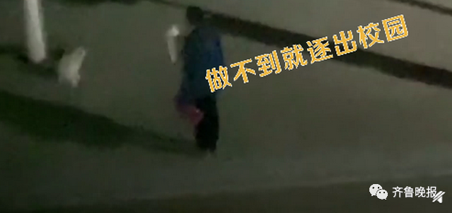 笑喷!高校猫咪遭大爷“训话”:学习读书,还要有礼貌!