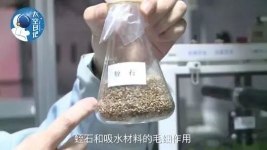 在“天宫二号”种菜时使用的基质材料