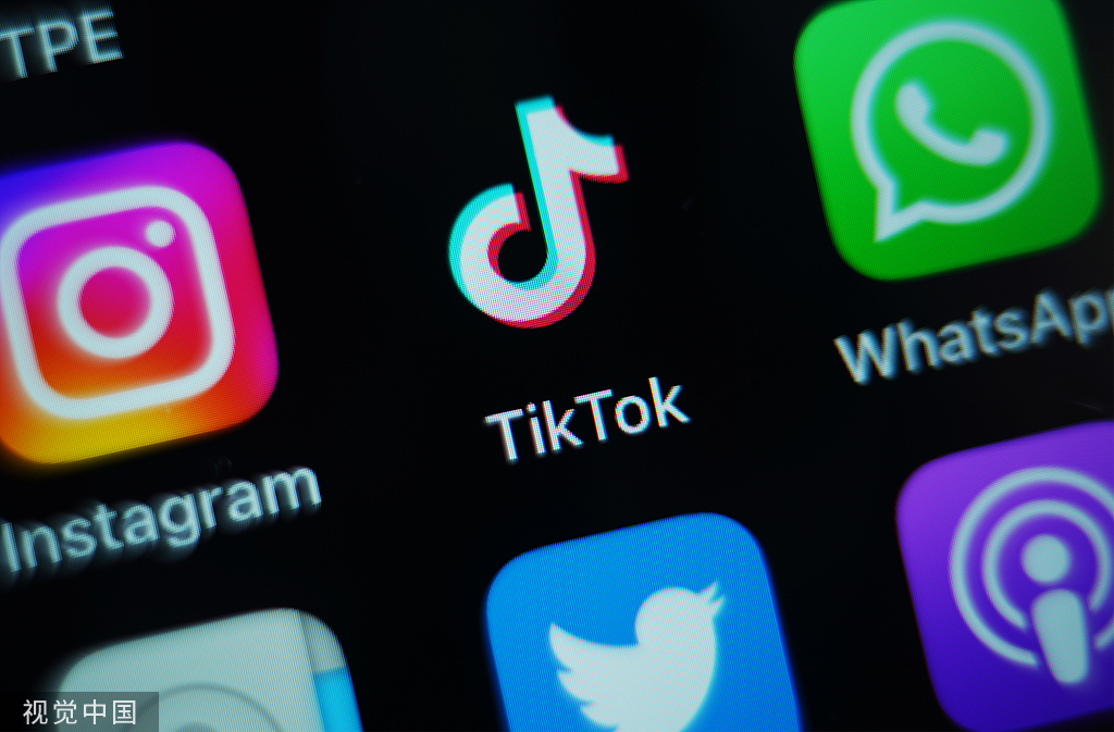 TikTok、Instagram等社交媒体图片 图源：视觉中国