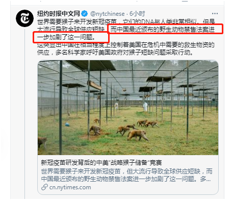 《紐約時報》中文網推特截圖