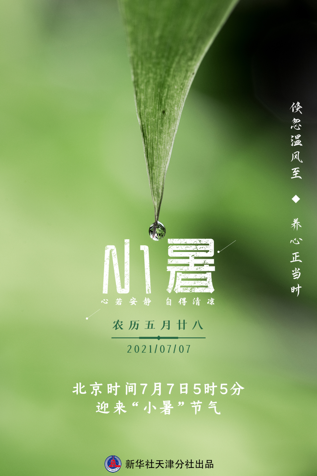 今日小暑倏忽温风至