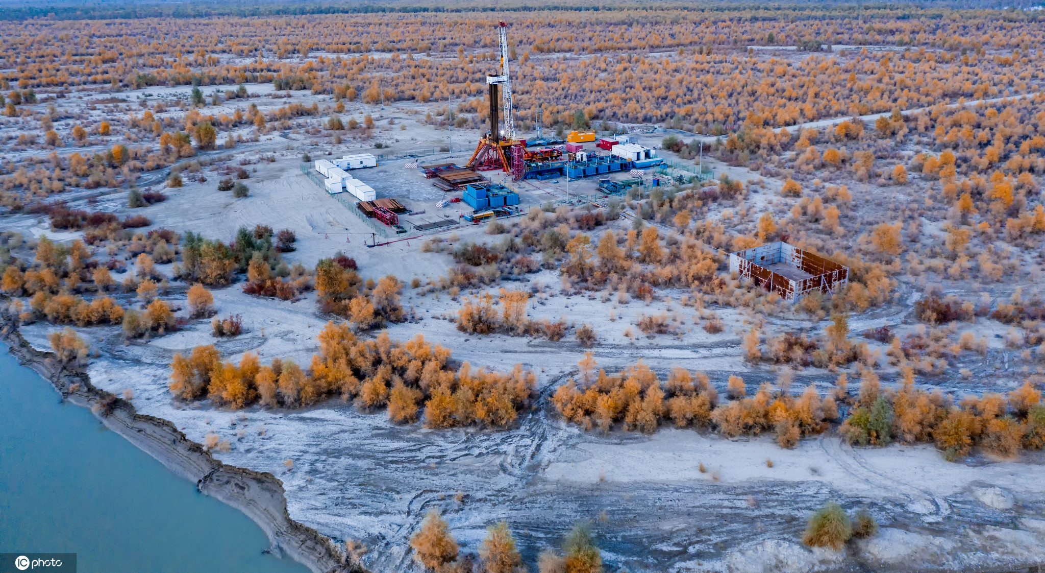 新疆沙雅塔里木河胡杨正黄夺油上产忙修井