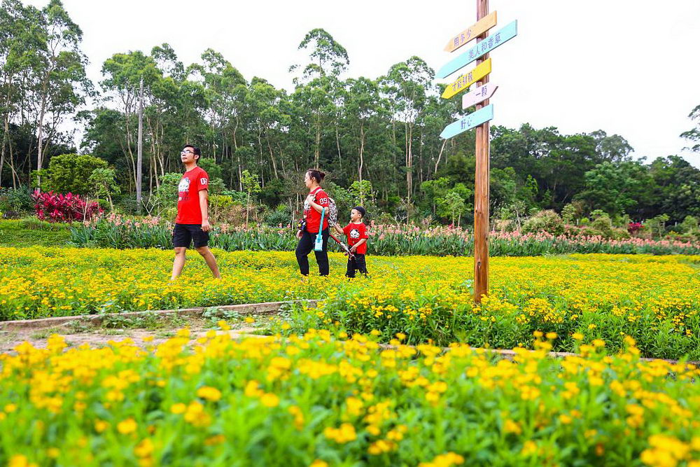 海南定安:共享农庄满园春色 吸引游客踏青