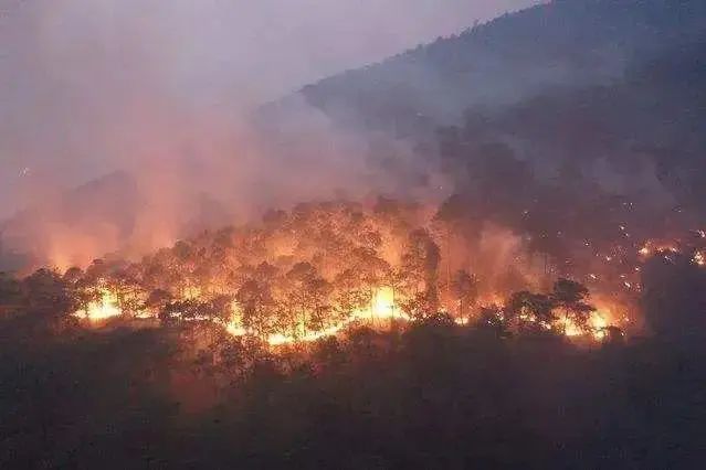 梅州火烧山图片