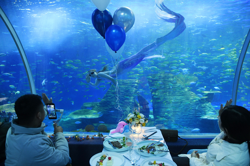 新年临近,安徽省阜阳尧泰汉海海洋公园分别推出"梦幻海底晚宴","科普