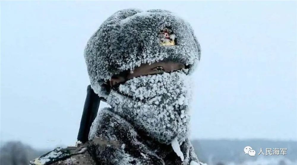 边防哨兵雪中图片