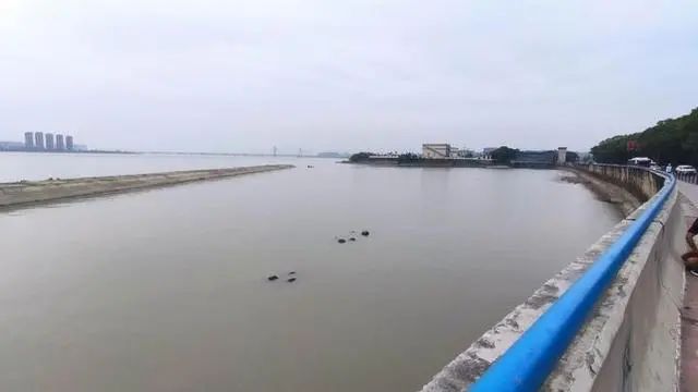 一号坝附近的堤岸呈圆弧状凹字形,东面是一条防潮堤,西面是珊瑚沙水库