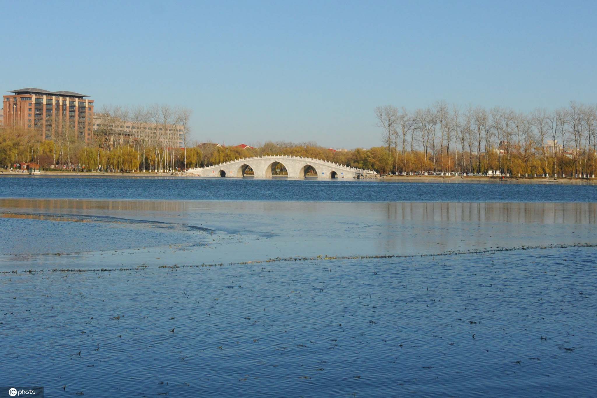 北京:玉渊潭公园湖中冰凌形态各异 寒气袭人