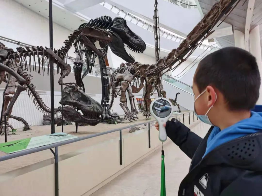 天津自然博物馆