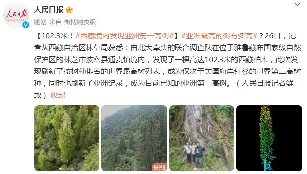 102.3米!西藏境内发现亚洲第一高树