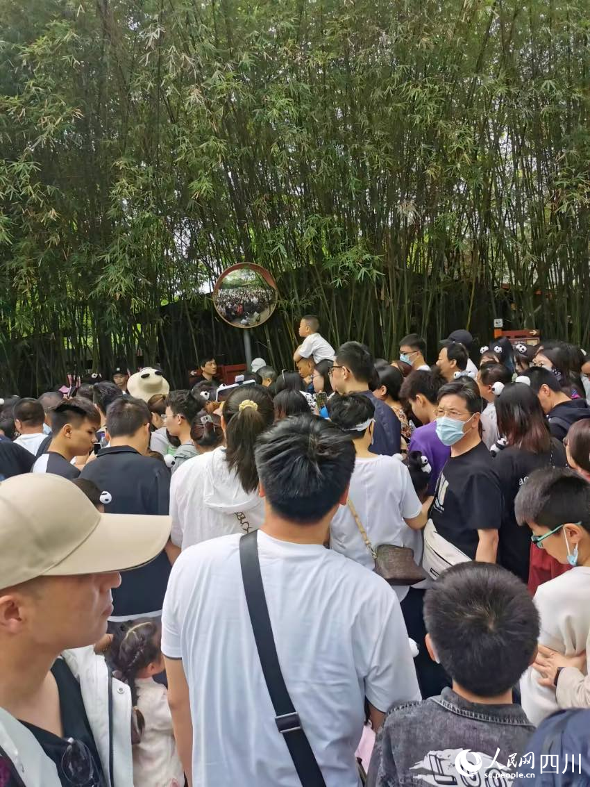 &ldquo;五一&rdquo;期间，成都大熊猫繁育研究基地游客众多。成都大熊猫繁育研究基地供图