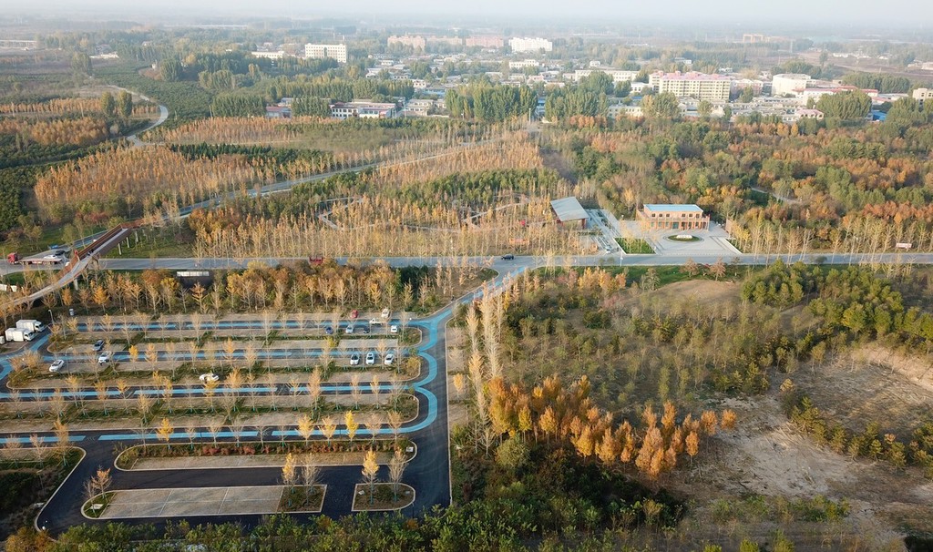 图为航拍雄安"千年秀林"秋景. 韩冰 摄