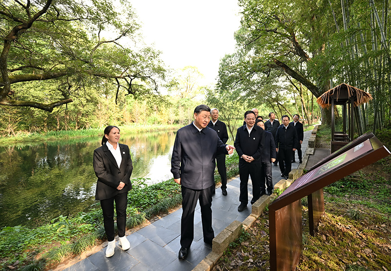 10月10日至13日，中共中央总书记、国家主席、中央军委主席习近平在江西考察。这是11日下午，习近平在上饶市婺源县秋口镇王村石门自然村考察时，了解饶河源国家湿地公园和极度濒危鸟类蓝冠噪鹛保护等情况。 