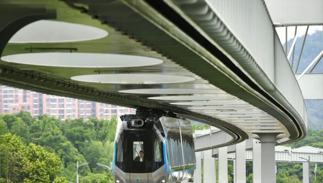 来源：长江日报