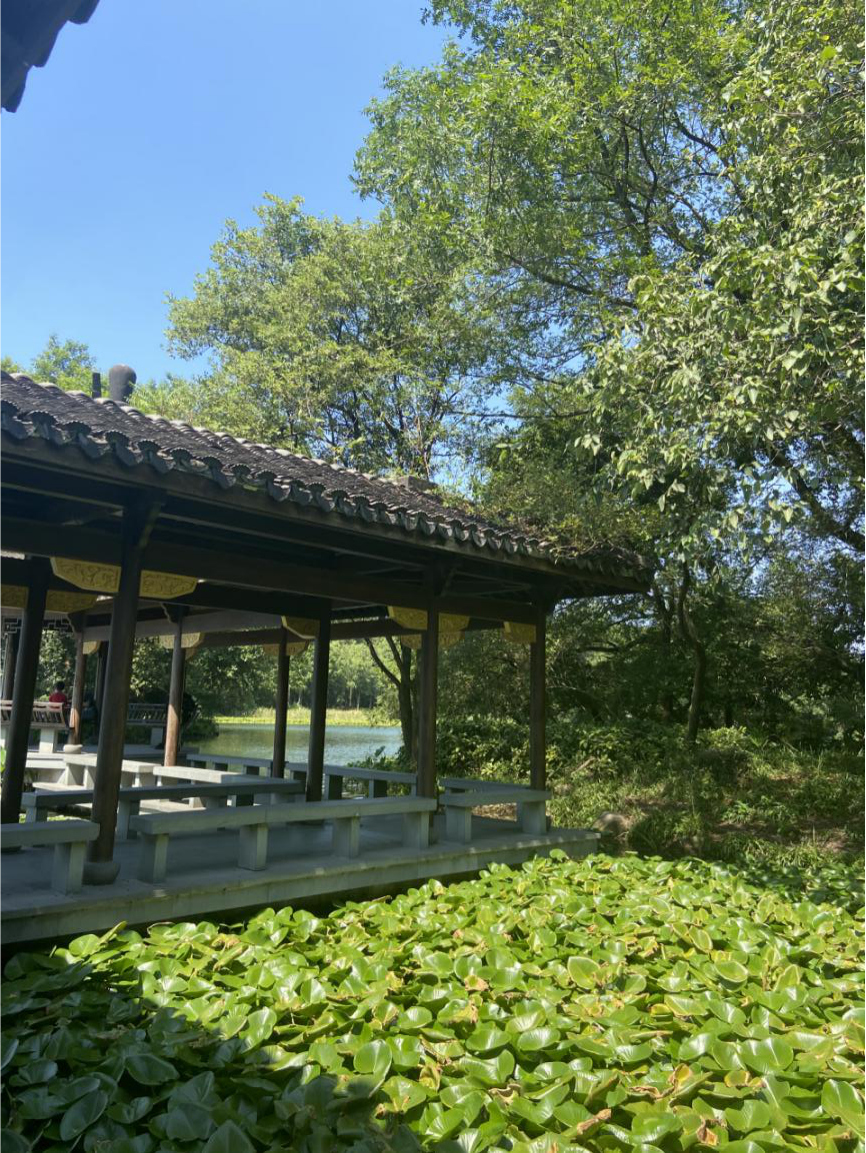 初秋探访杭州三台山